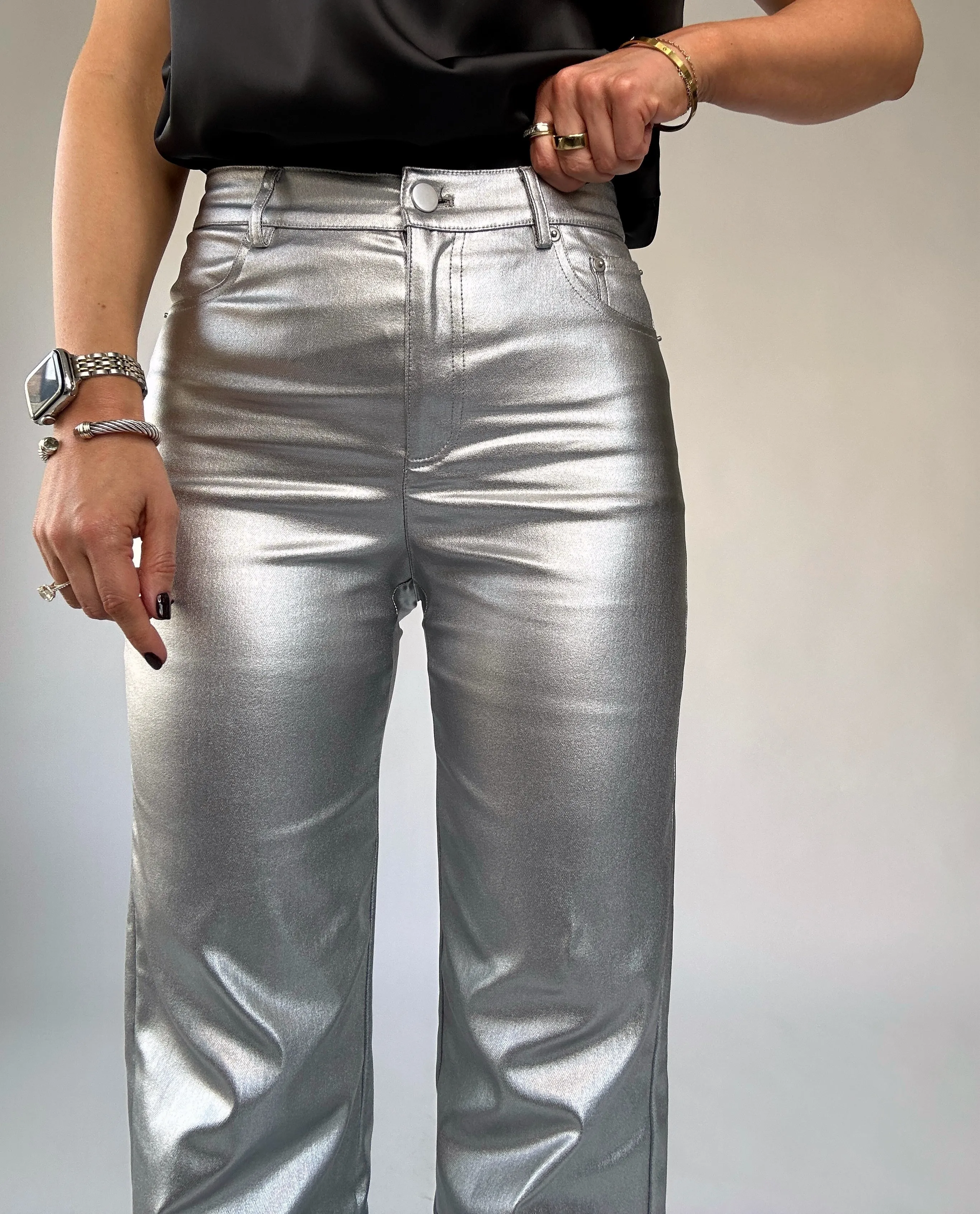 Adler Faux Leather Pants - Silver