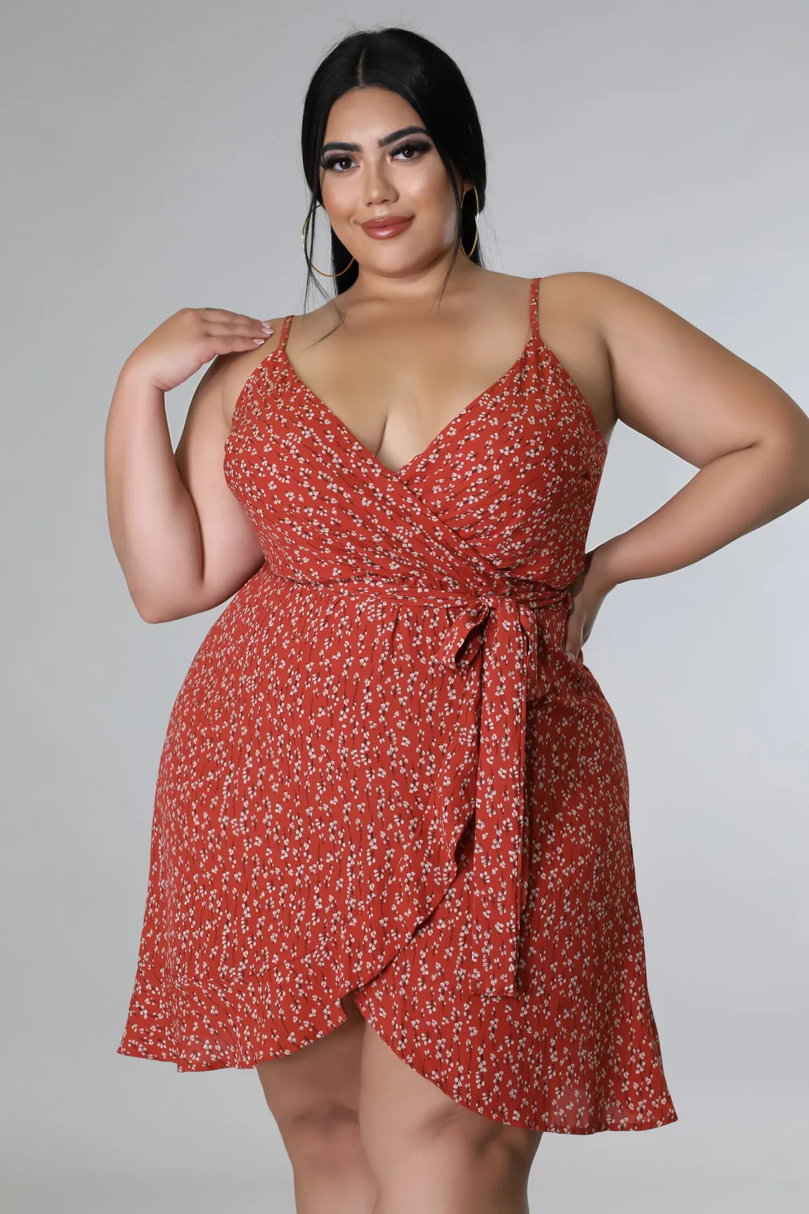 APRIL CAMI DRESS | PLUS