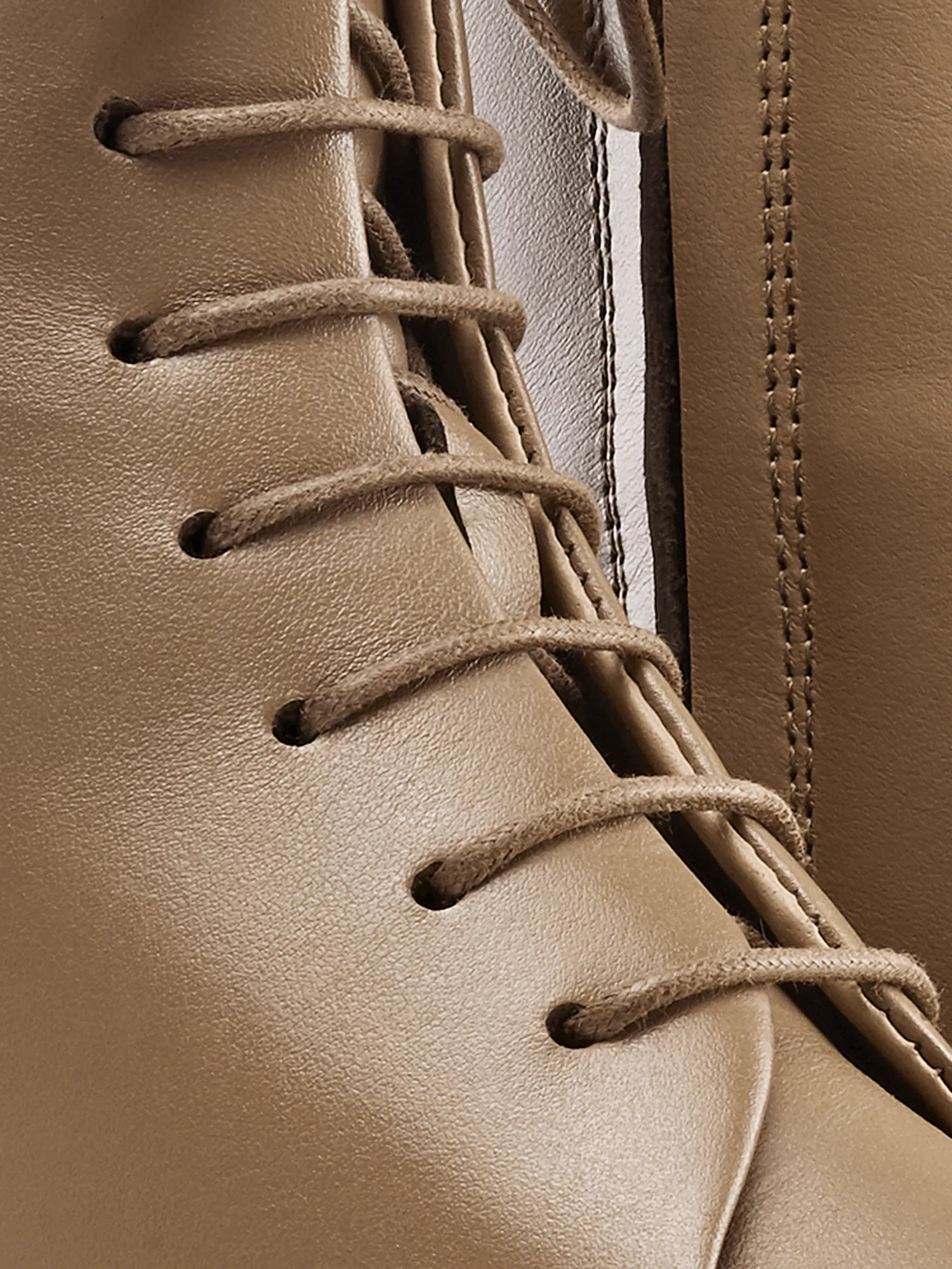 Cortina in Fawn