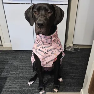Overcoat Style Dog Raincoat