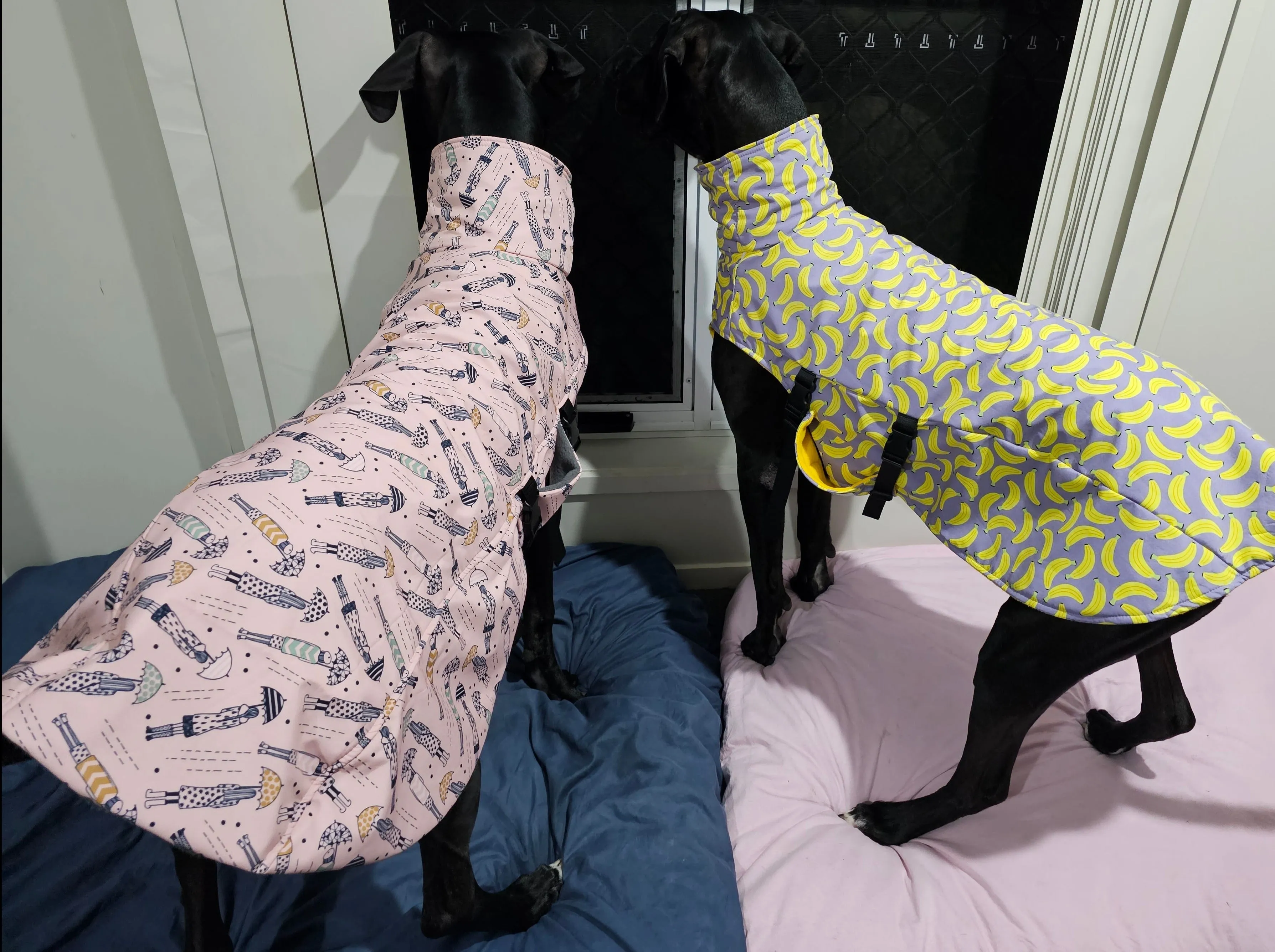 Overcoat Style Dog Raincoat