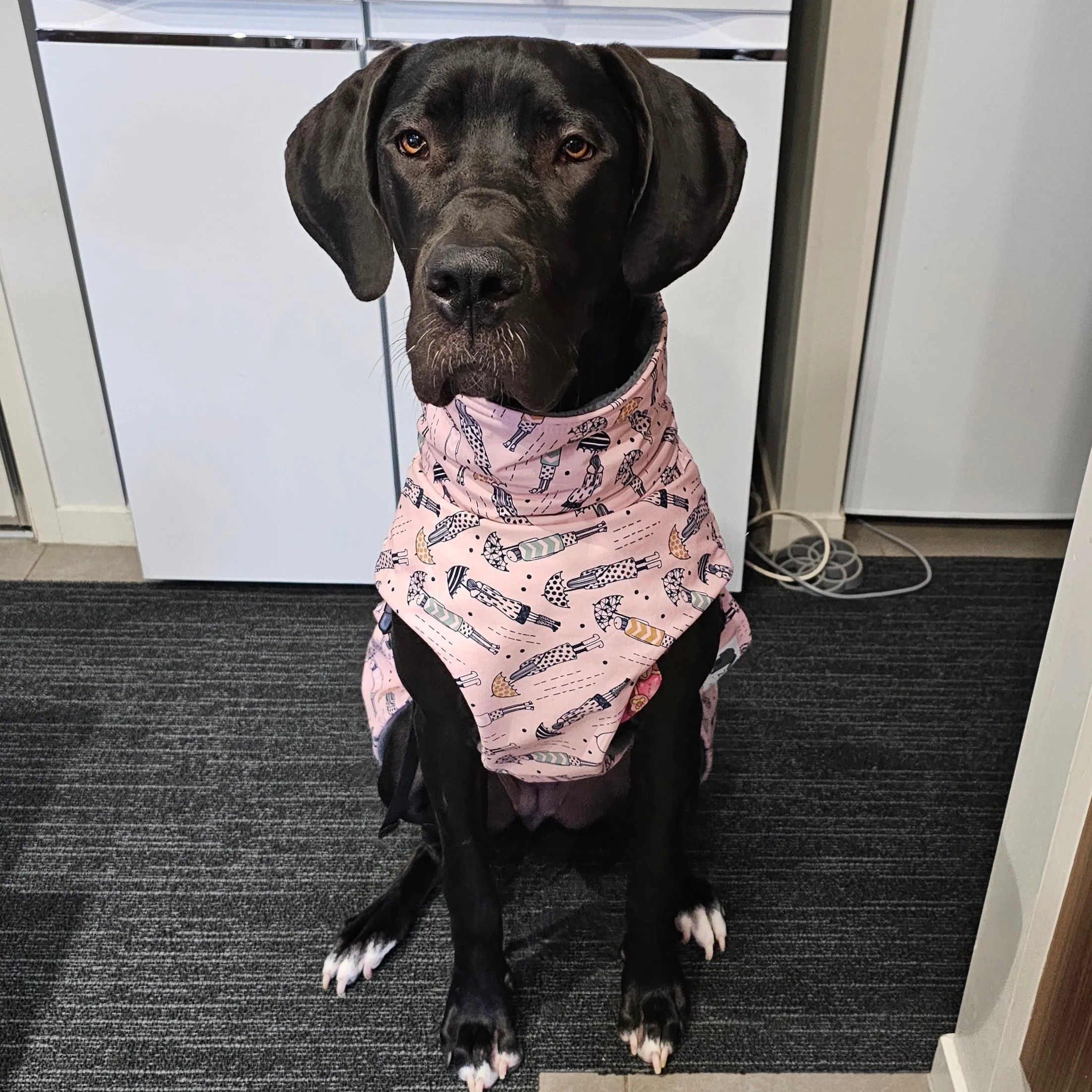 Overcoat Style Dog Raincoat