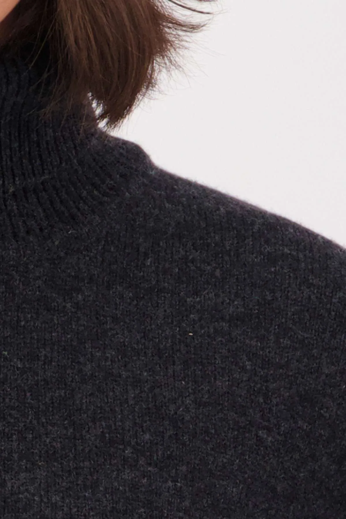 Swanndri Brunner Merino Roll Neck Knit