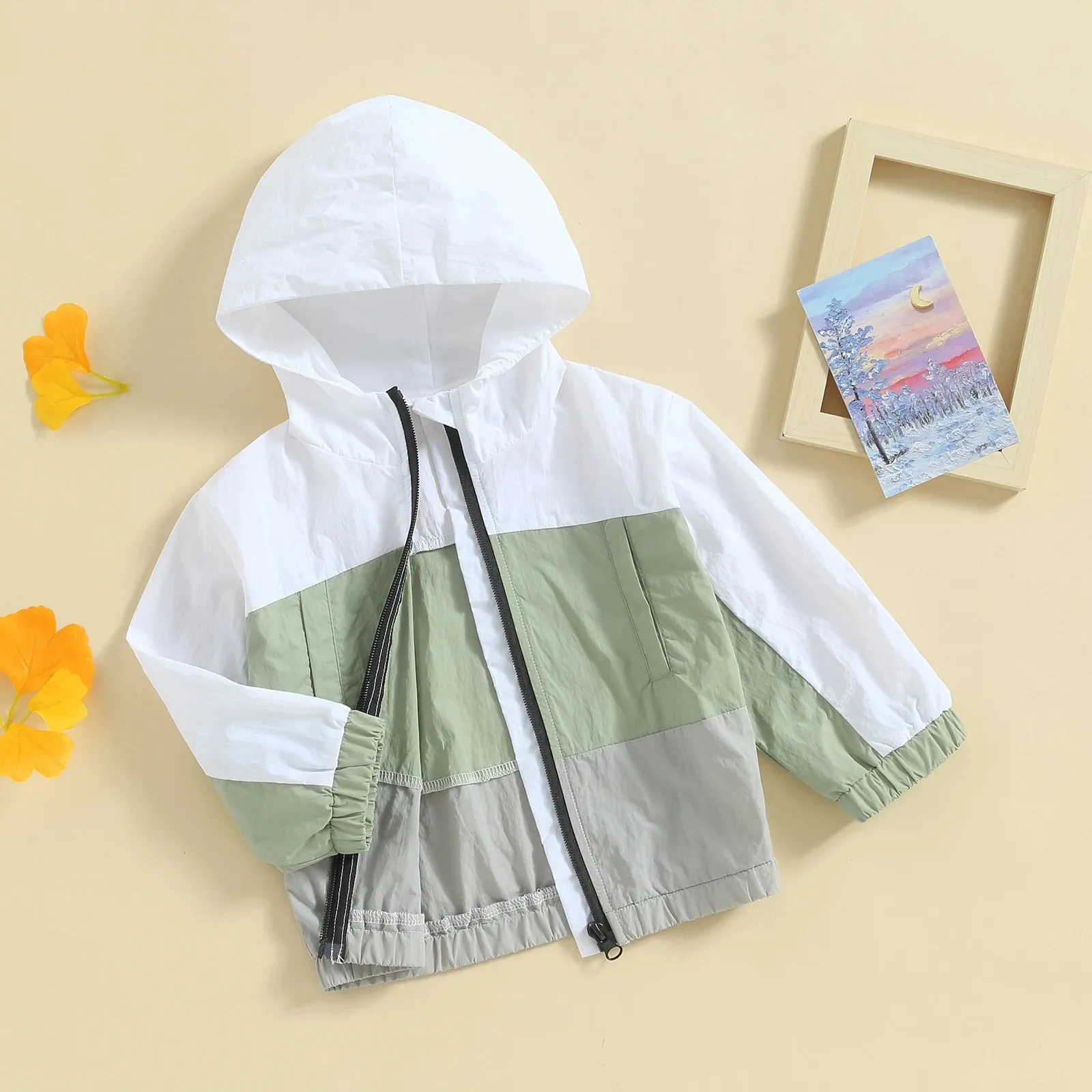 Toddler Boys Hooded  Contrast Jacket