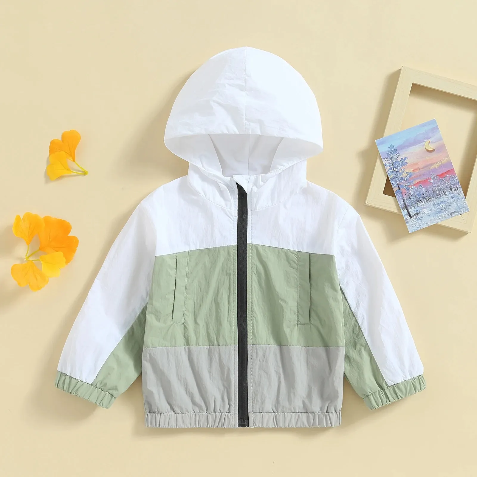 Toddler Boys Hooded  Contrast Jacket
