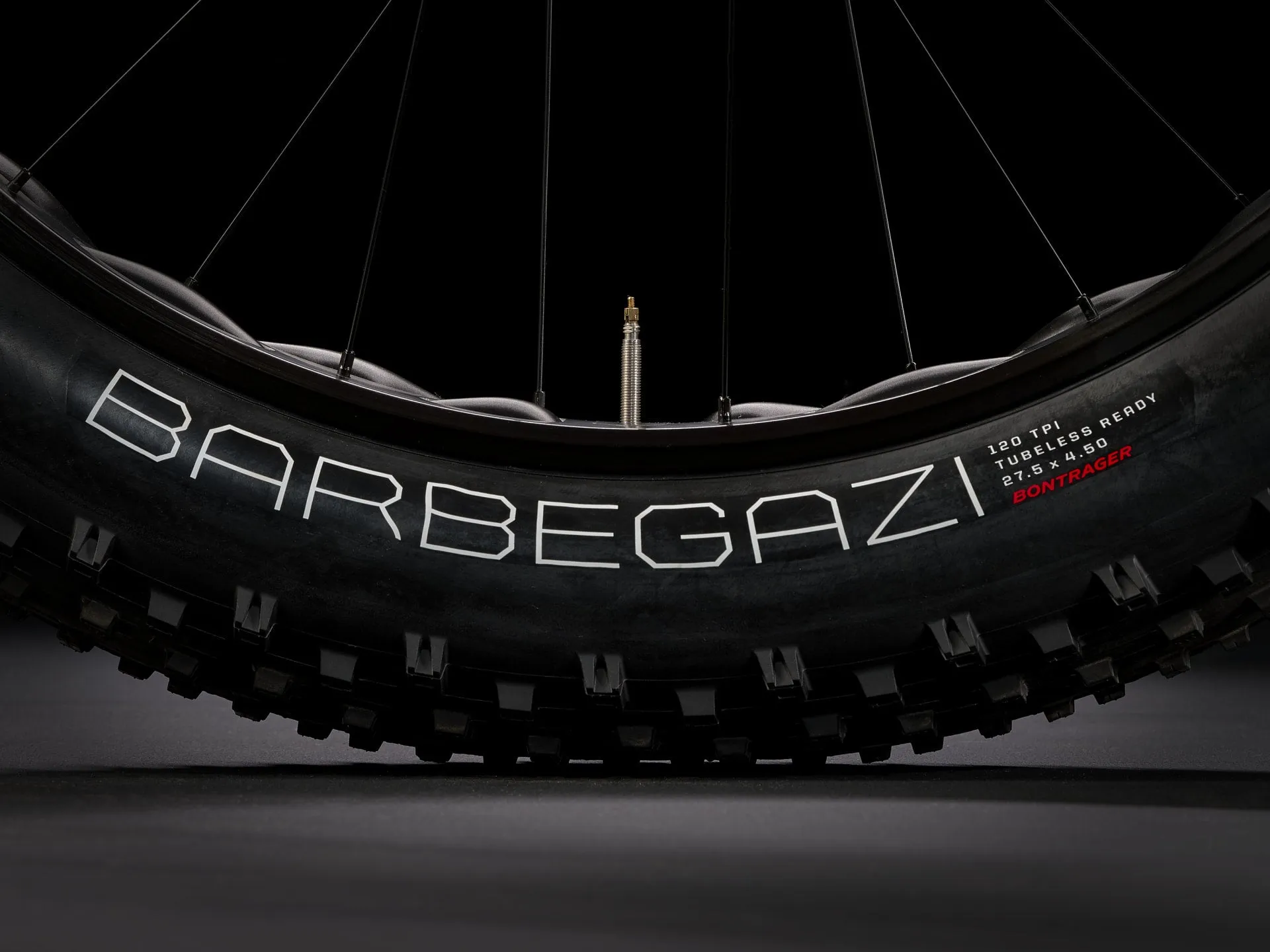 Trek Farley 9.6 Fat Bike 2024