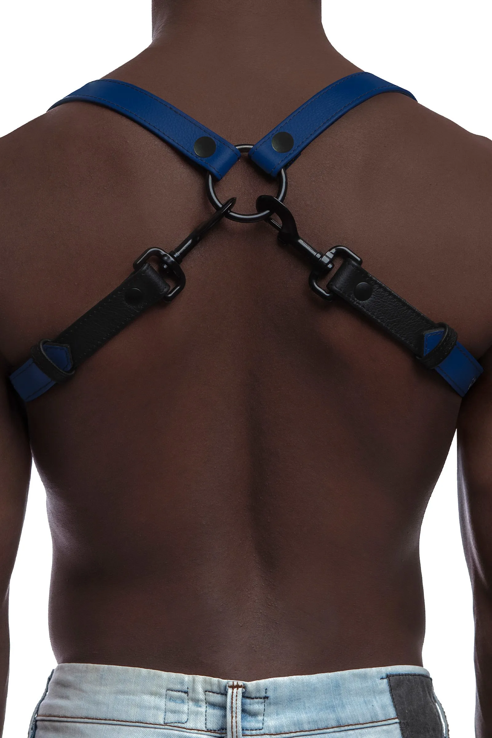 UNIVERSAL BRACES - Colour