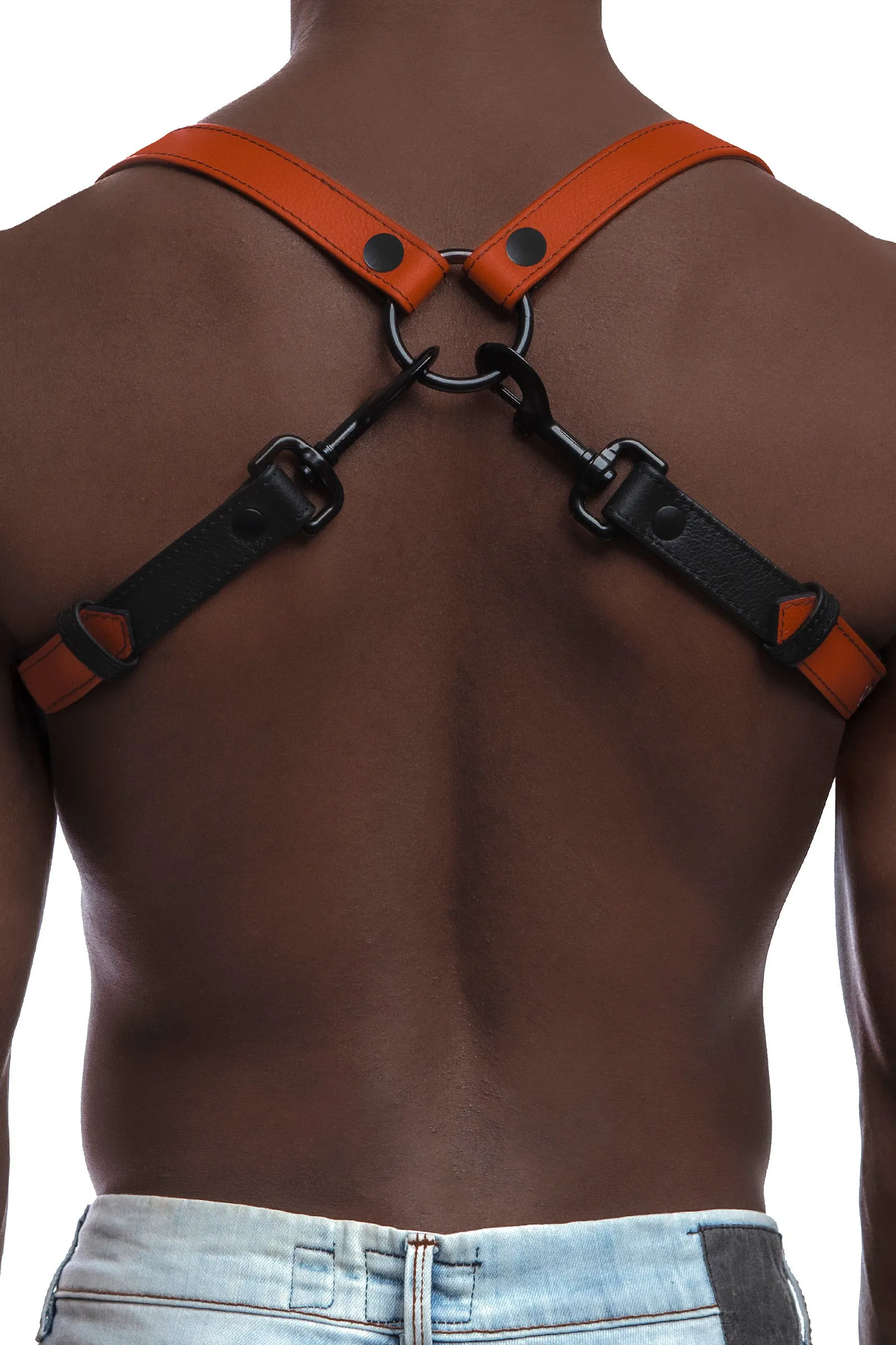 UNIVERSAL BRACES - Colour