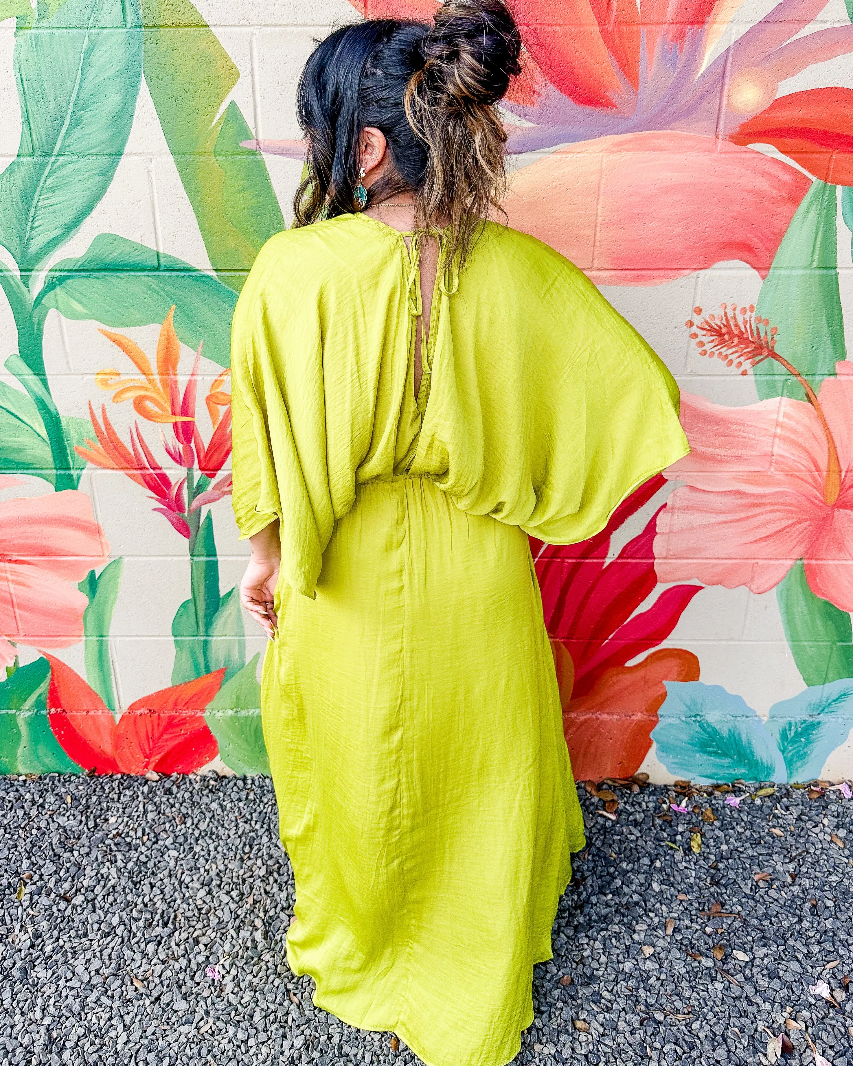 Vaila Dress