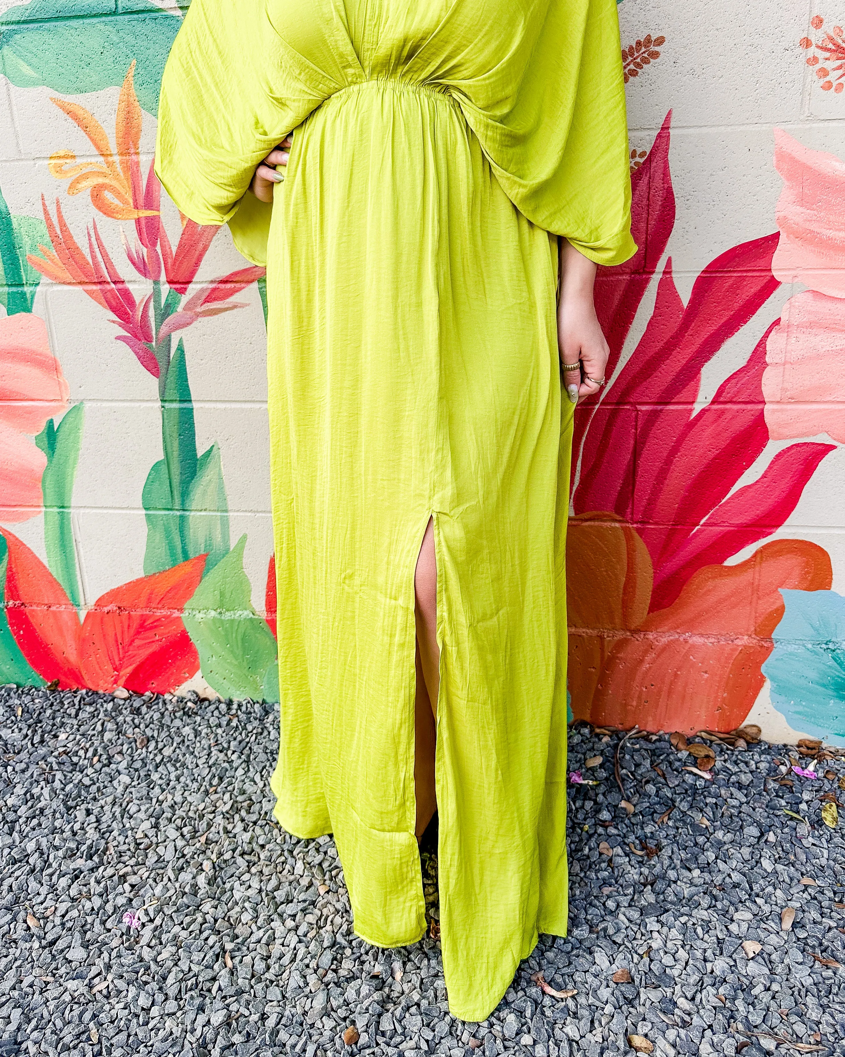 Vaila Dress