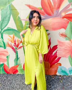 Vaila Dress