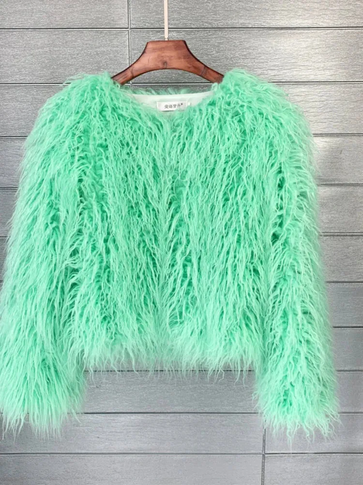 Women Faux Fur Coat Autumn Winter Fluffy Short Coat Faux Fur Jacket