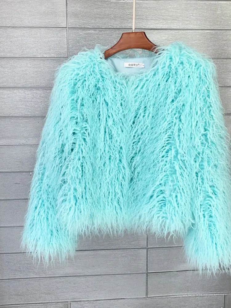 Women Faux Fur Coat Autumn Winter Fluffy Short Coat Faux Fur Jacket