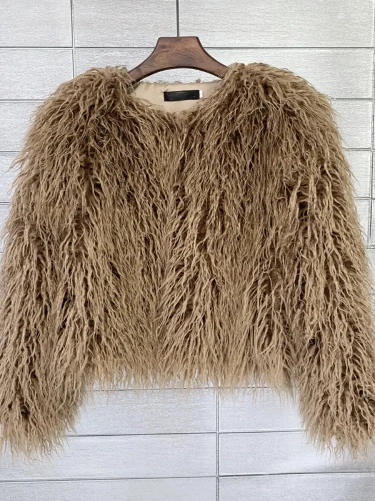 Women Faux Fur Coat Autumn Winter Fluffy Short Coat Faux Fur Jacket