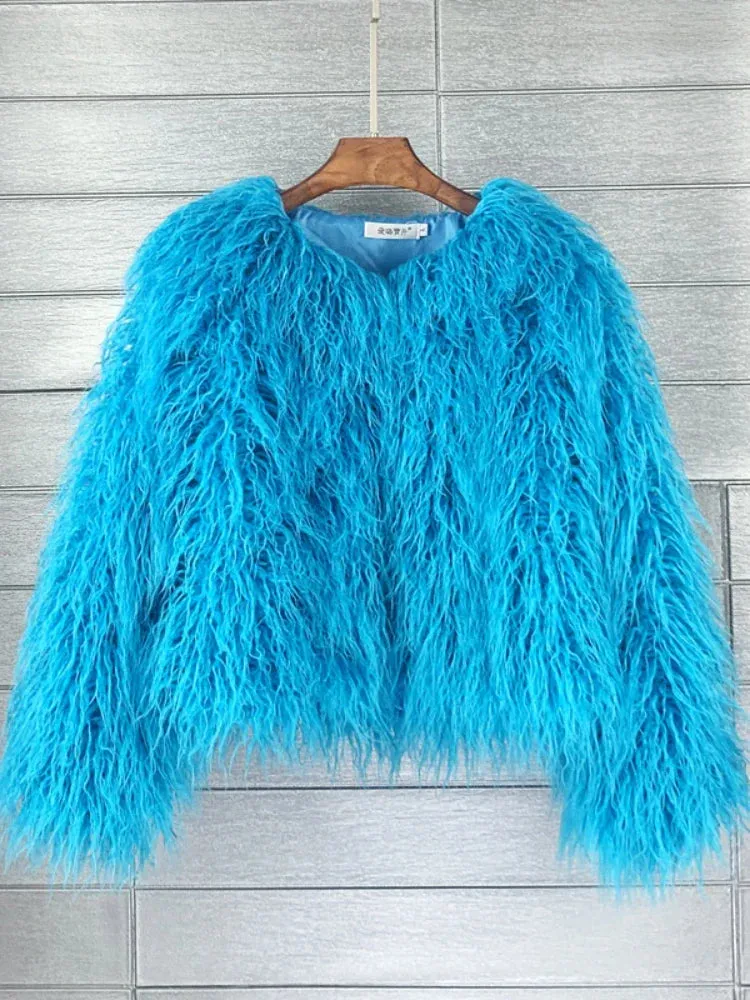 Women Faux Fur Coat Autumn Winter Fluffy Short Coat Faux Fur Jacket